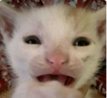 123 look at me