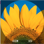 The~Flower~Nation