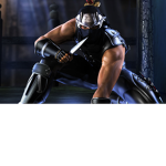 Professional ninja clan