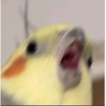玄鳳潔西卡 軍團