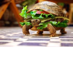 the sandwich turtle