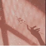 fairydqlls｡