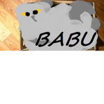 Babu Co.