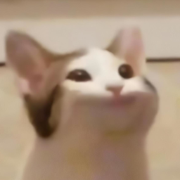 obby but you are a cat