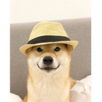 The Brethren of Doggo