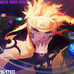 MICHINARUMONO