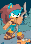 Sonic’s fan community