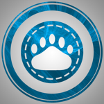 Bear Creations™