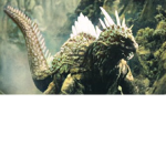 Varan Fanclub