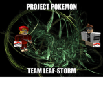Project Pokemon Team Leaf Storm