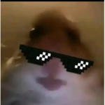 Jordy hi