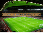 Diddlesideshot.INC