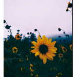May!