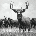 BIG BUCK CATTLE COMPANY