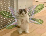 Dreaisamazingsojoin