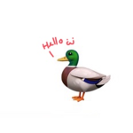This is my ducky group “quack”