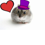 EpicHamsterSquad