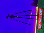 Siren head fan group s
