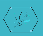{Ethereal Mist Alliance}