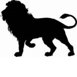 The Real Lions