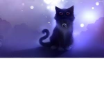 Bear the cat