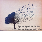 My dreammmm
