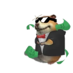 High Roller Chomik