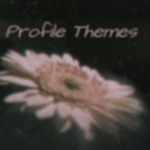 profile themes ⋆