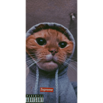 loottalking3 robux