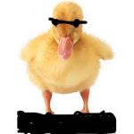 Duck Street