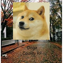 Doge Squad - Doge County: Classic
