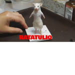 BryKritri Fan Group