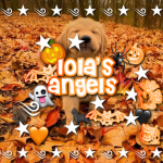 - Lola’s angels -