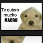 Comunidad de @g0d_macro