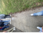 siringe