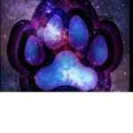 Dogsgocrazy