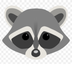 RACCOON SQUAD!!!!!