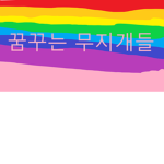 레인보우드림