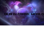 Our Bizarre worId
