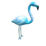 Secret Rare Blue Flamingo