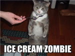 zombie land