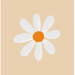 Lexidaisies