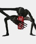 Shadow Sentinel Group