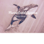 .~Marine Costal Aquarium~.