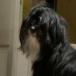 WillowRBX