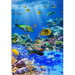 Fish Pro Fans Group