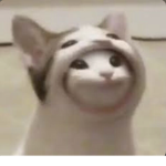 OfficialDoge