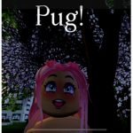 Pugs designer clothing