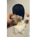 PawsomeStudios