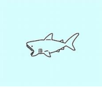,, sharkfin